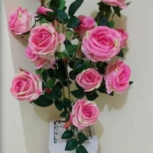 Dinna Wulan profile icon