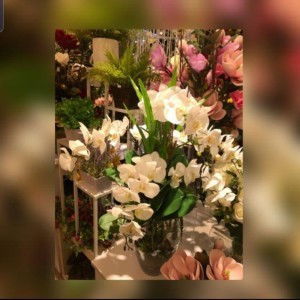 Siscandra profile icon