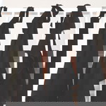 Rani Ummu Zinirah profile icon