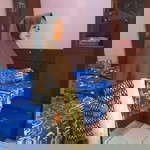 Yuni Lestari profile icon