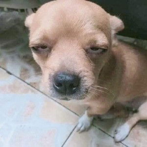 สุเมทินี พรมวันนา profile icon