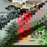 Qaseh Iman profile icon