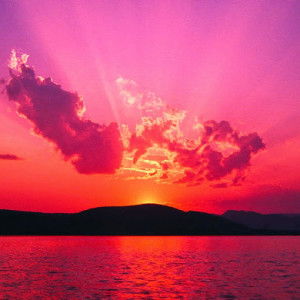 Indriani Abdulhafid profile icon