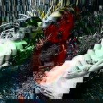 Joyce Delos Santos profile icon