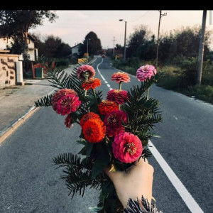 riski salsa nabilla profile icon