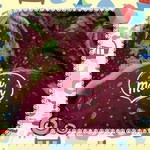 Ellsha Shintya profile icon