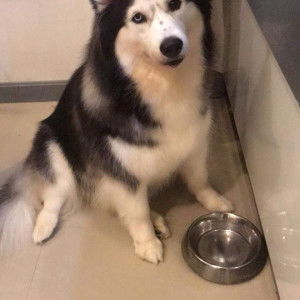 bai Fern Warner Wb profile icon