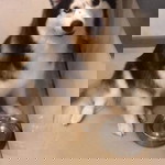 bai Fern Warner Wb profile icon