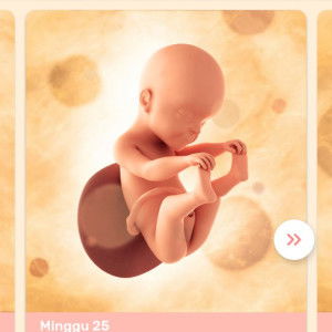 cantika profile icon