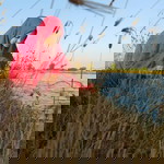 Dini Rindi Antikka profile icon