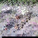 Ranti Indriaa profile icon