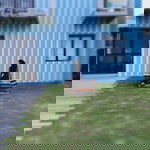 Nor Hedayah Wasiri profile icon