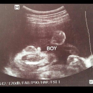 Ej Sebial profile icon