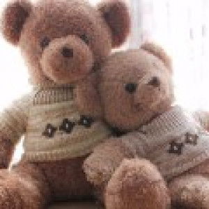 หมีป่า ตัวกลม profile icon