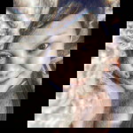 Princess Jessy Cumla profile icon