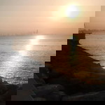Batul Fatima profile icon