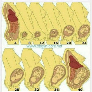 anisa rifqi shofia profile icon