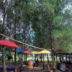 Nur Fitriani profile icon