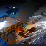 Rona Loquinario profile icon