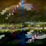 Yusup Cahya profile icon