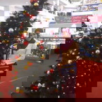 Dewi Susantika Windy profile icon