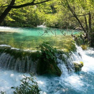 Zaherawati Zakaria profile icon