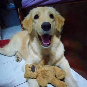 Supuksiri Maphet profile icon