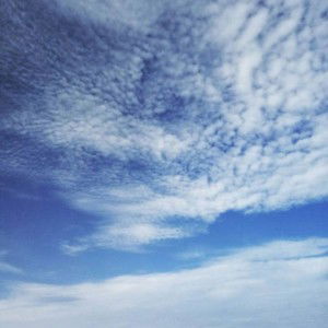 Titik Andrianti profile icon