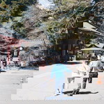 Saturn Wonder profile icon