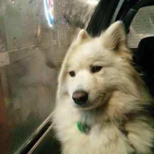 Issaraporn Khodtum profile icon