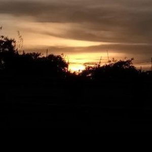 Arin Lubis profile icon