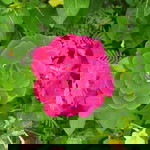 แสนซน profile icon