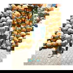 Sabill Jan profile icon