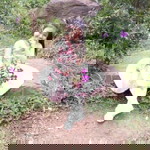 Lê Văn profile icon