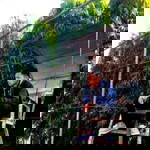 Dian Ćuahbeling profile icon