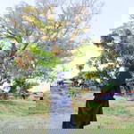 Nurlaeli F Ahsani profile icon