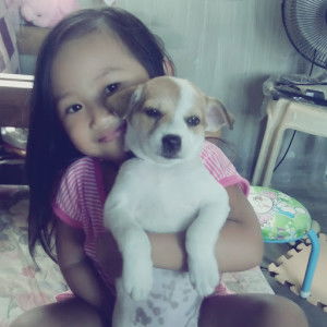 Elaine Abarientos profile icon