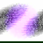 Diyah Ami profile icon