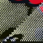 shan songaling profile icon