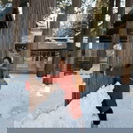 Pakbung Sumitra profile icon