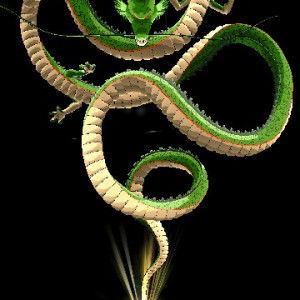 MUHAMMAD  IZUWAN SON GOKU IBNU BARDOCK ZOLKEPELI profile icon