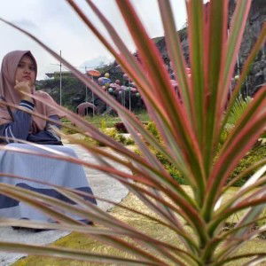 Sary Sarina profile icon