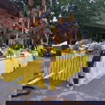 จรว. จรว profile icon