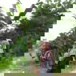 Dea Ratnasari profile icon