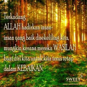 zamila samin profile icon