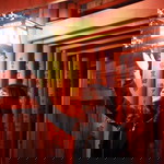 New Thanpitcha profile icon