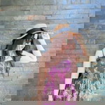 MeeMeenny LoveLiv profile icon