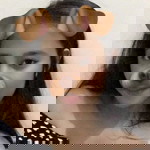 Diana Mae De Castro profile icon