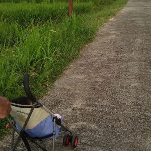 yasbita firdaus profile icon