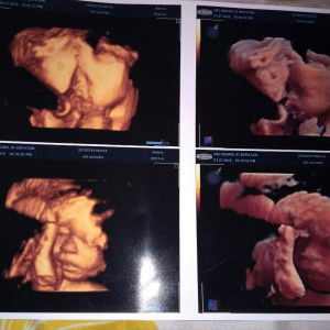 siti nurseha profile icon